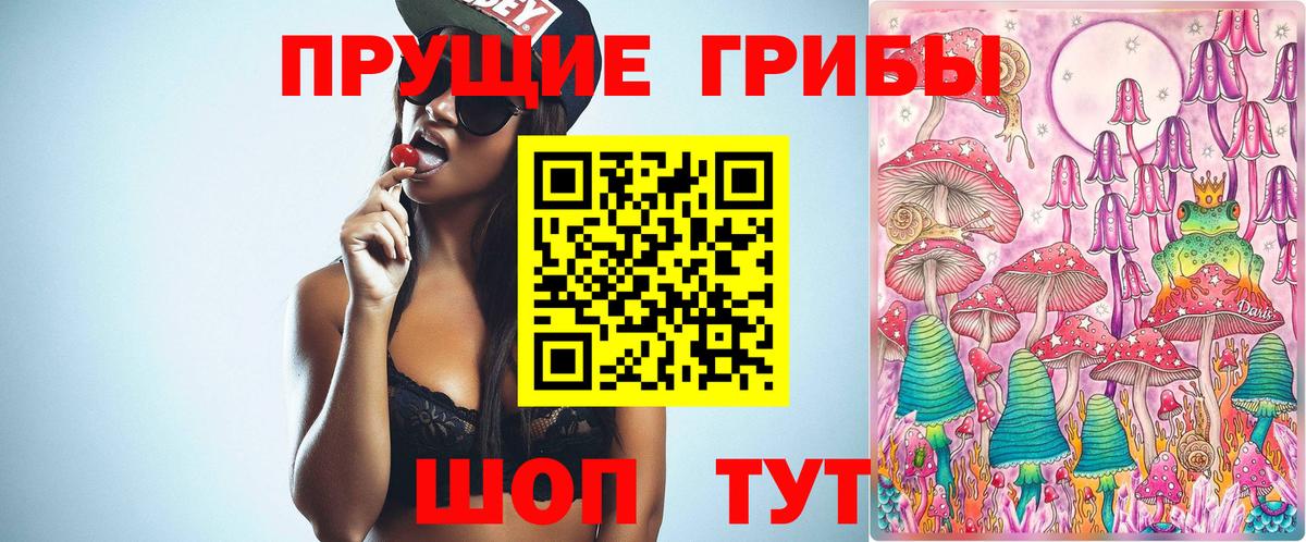 продажа наркотиков  Вход с VPN  Петропавловск-Камчатский  Галлюциногенные грибы Magic Shrooms 