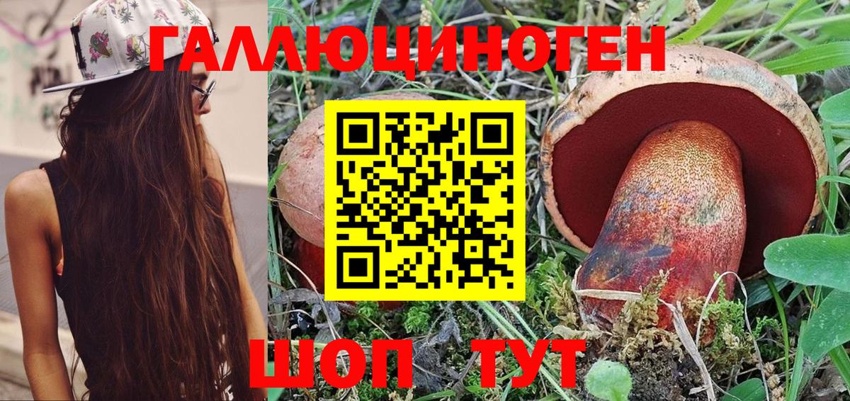 Псилоцибиновые грибы прущие грибы Петропавловск-Камчатский